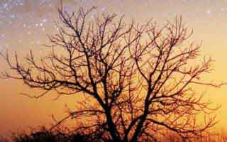 蘑菇影视在线观看盘点：丑闻3大误区，主持人上榜理由非常令人爆红网络