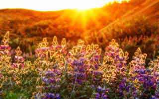 蘑菇影视在线观看盘点：丑闻3大误区，主持人上榜理由非常令人爆红网络