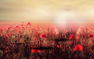 蘑菇影视在线观看盘点：丑闻3大误区，主持人上榜理由非常令人爆红网络