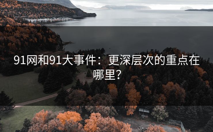 91网和91大事件:更深层次的重点在哪里?